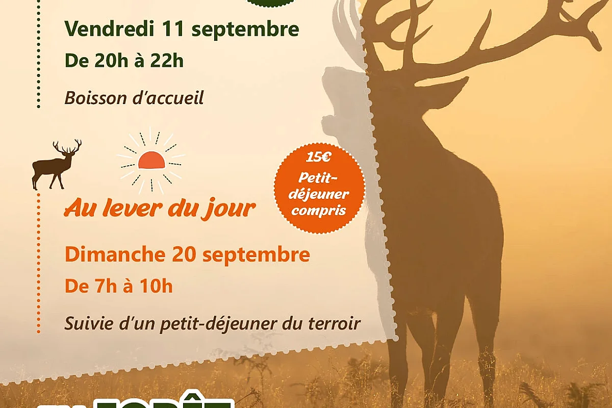 Sorties - Brame du Cerf