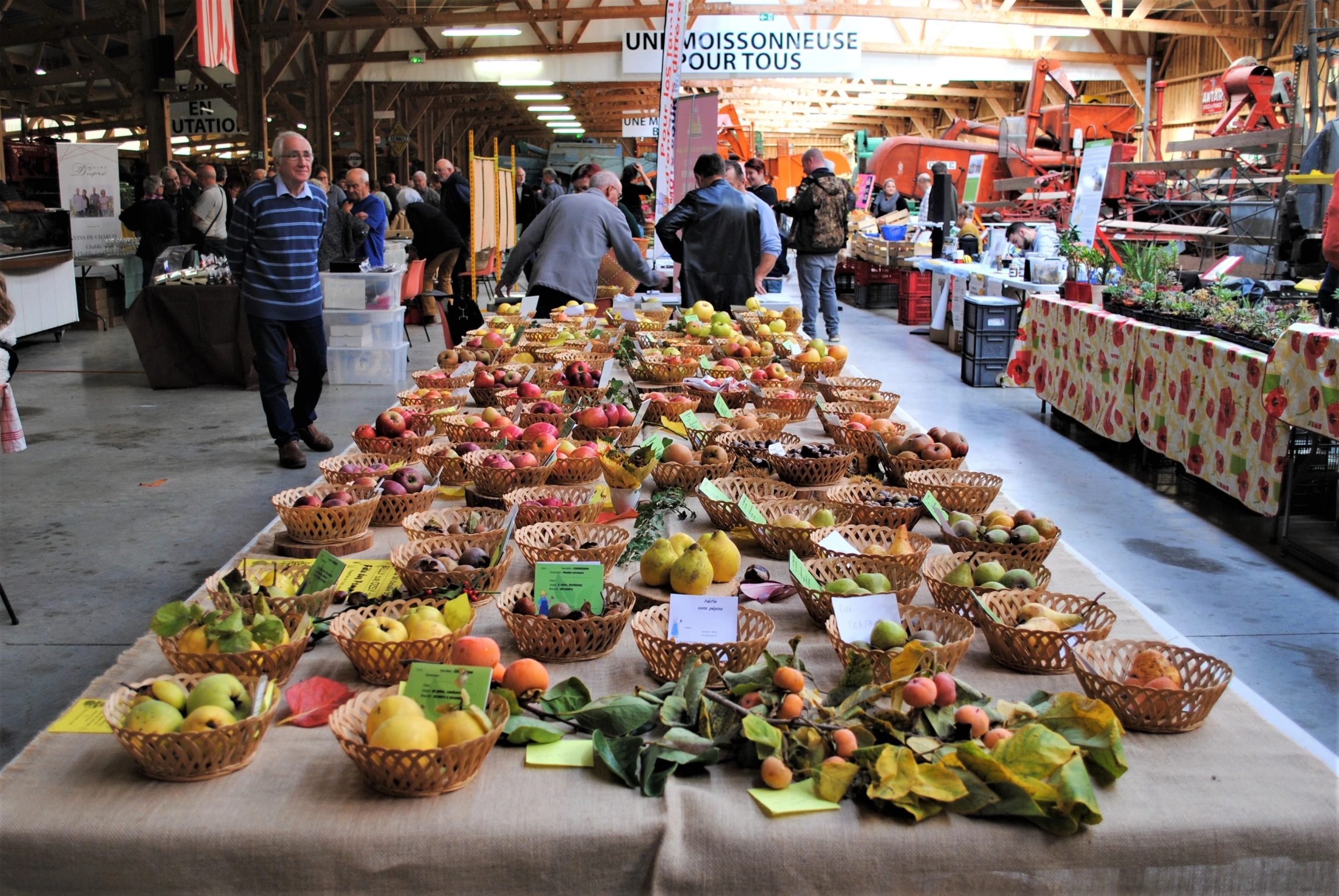 Marché du Terroir au MUMAR (Musée de la Machine Agricole)