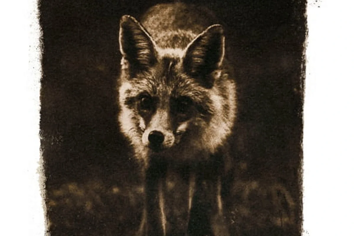 Conférence Photographies