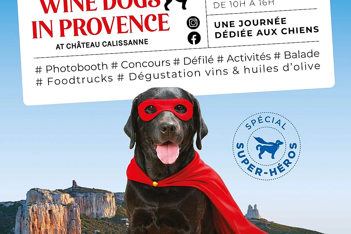 Wine dogs in Provence