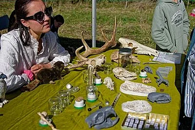 Sur la piste des animaux : empreintes et compagnie