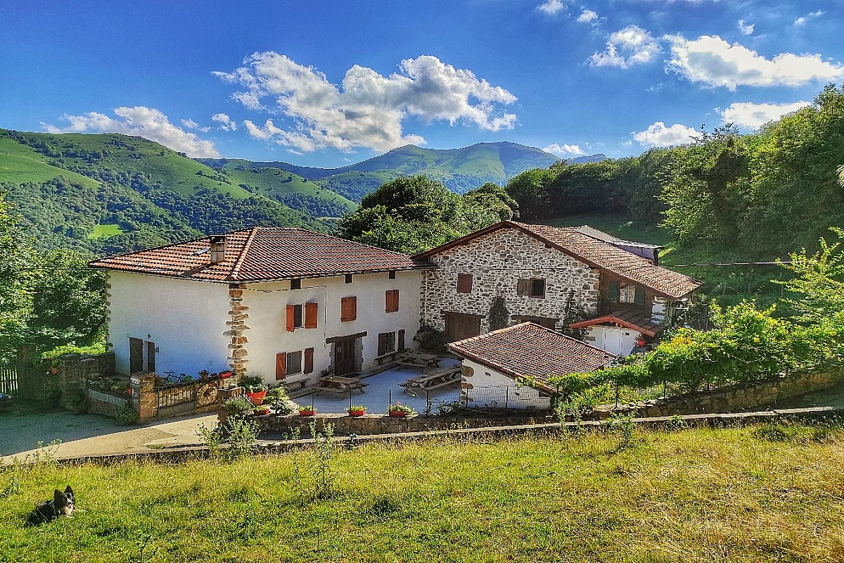 Visite de la ferme Ametzalde (fromage de brebis Ossau Iraty, miel et charcuterie BIO). Sur réservation