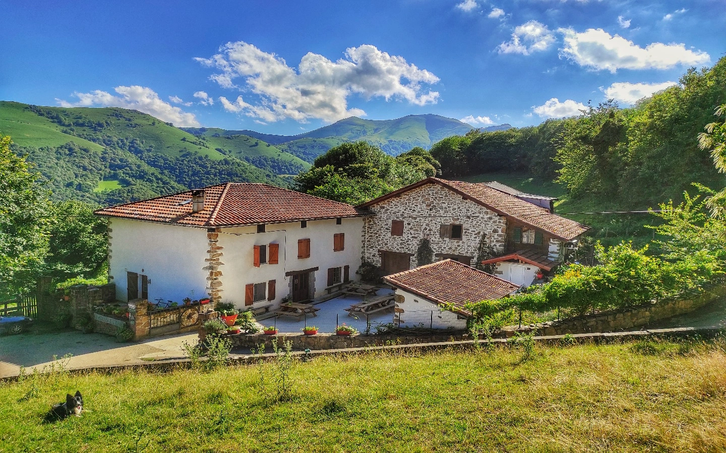 Visite de la ferme Ametzalde (fromage de brebis Ossau Iraty, miel et charcuterie BIO). Sur réservation
