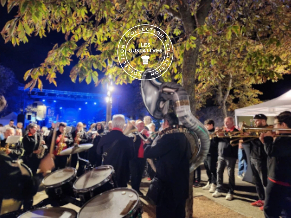 VES 2026 - RENCONTRES VIGNERONNES & VENDANGES EN FÊTE