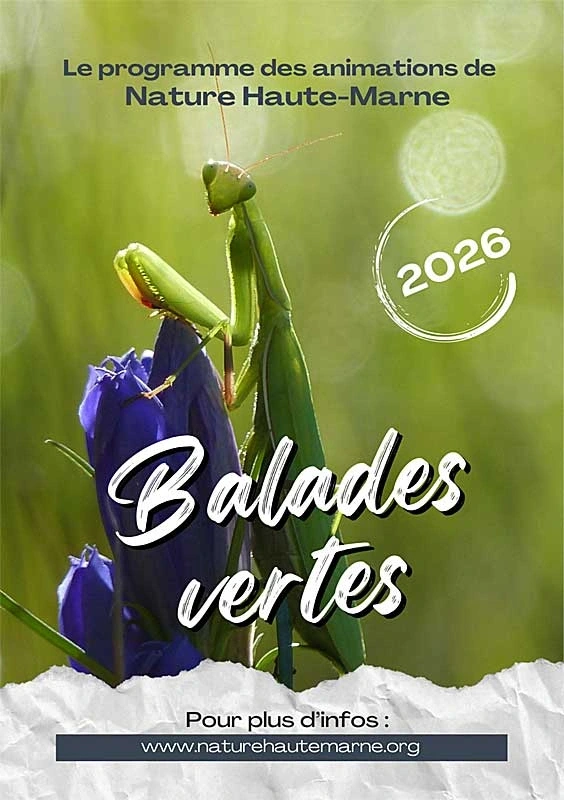 Balades Vertes en Haute-Marne : Balade hivernale et vin chaud