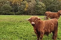 Enquête à la ferme