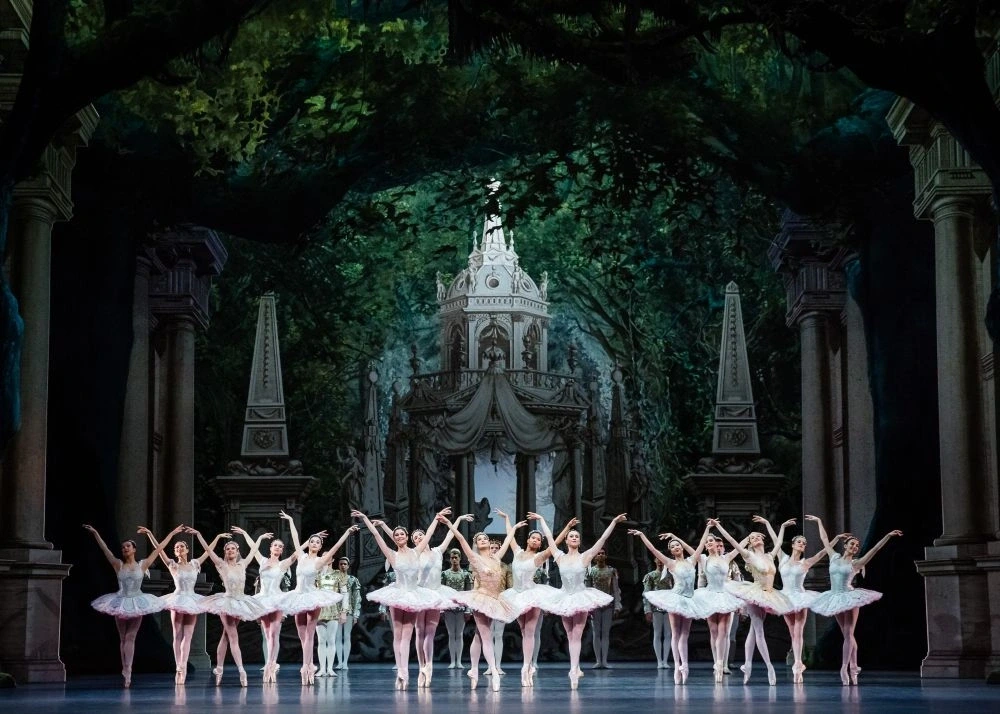 Projection "Le songe d’une nuit d’été"