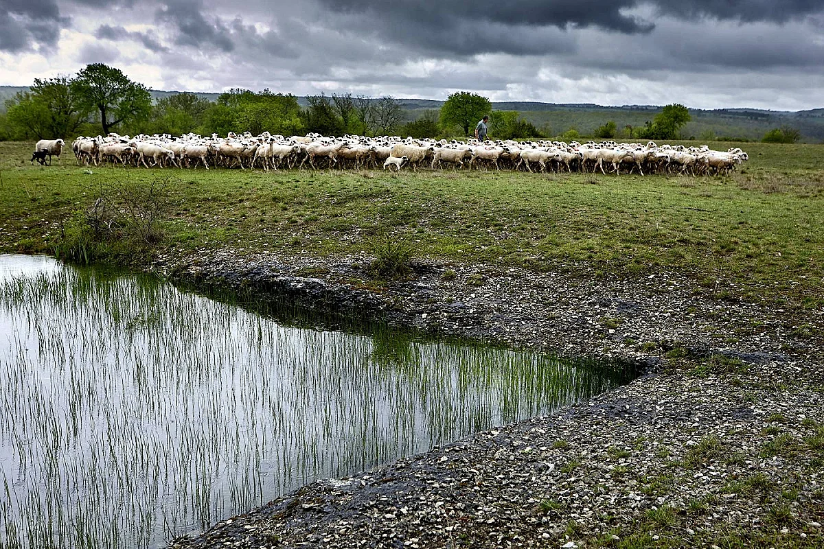 Regards croisés sur le paysage et la biodiversité du Mont Saint-Cyr