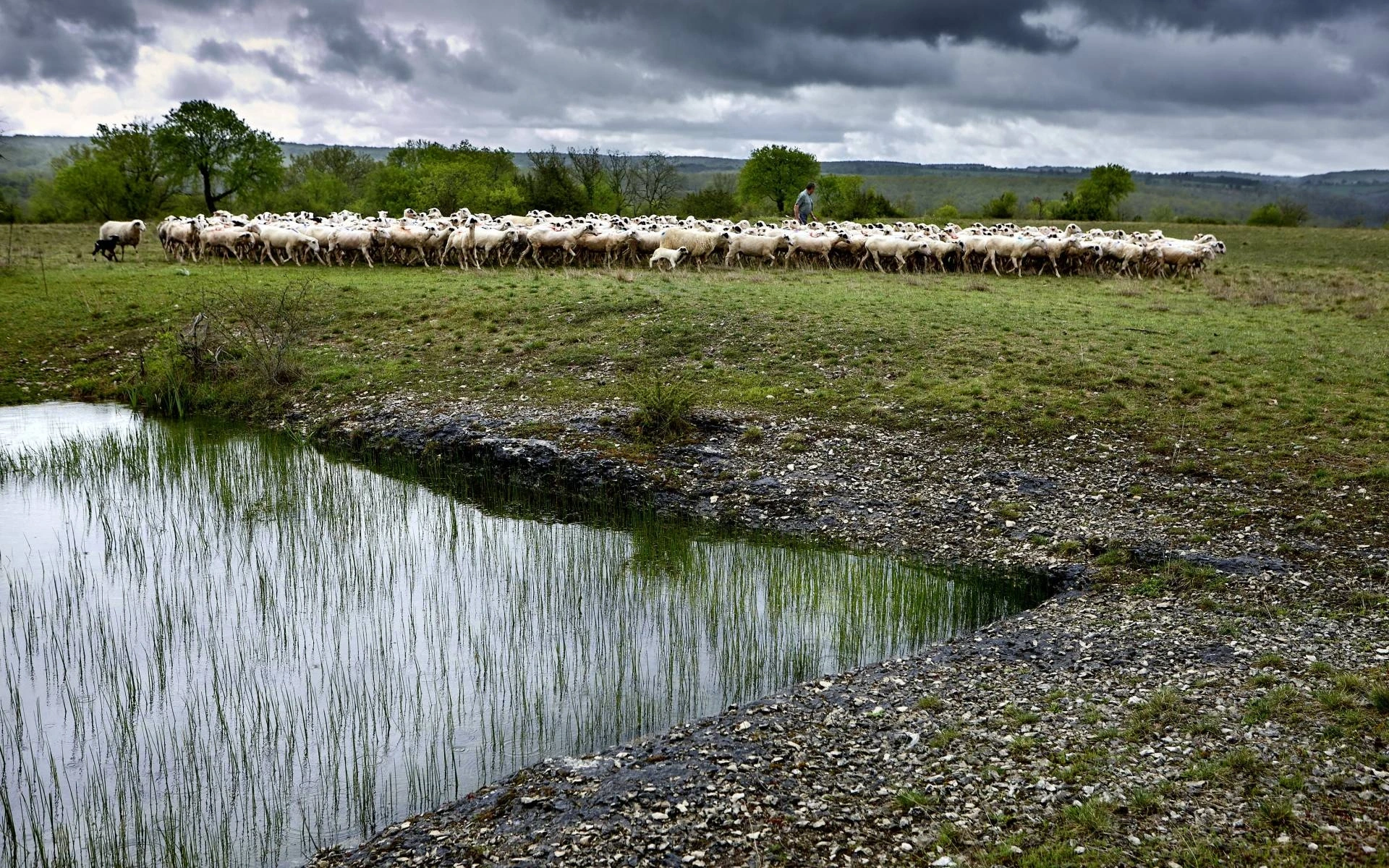 Regards croisés sur le paysage et la biodiversité du Mont Saint-Cyr