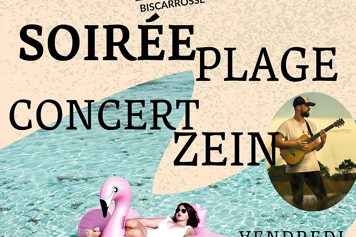 Concert Zein et soirée plage
