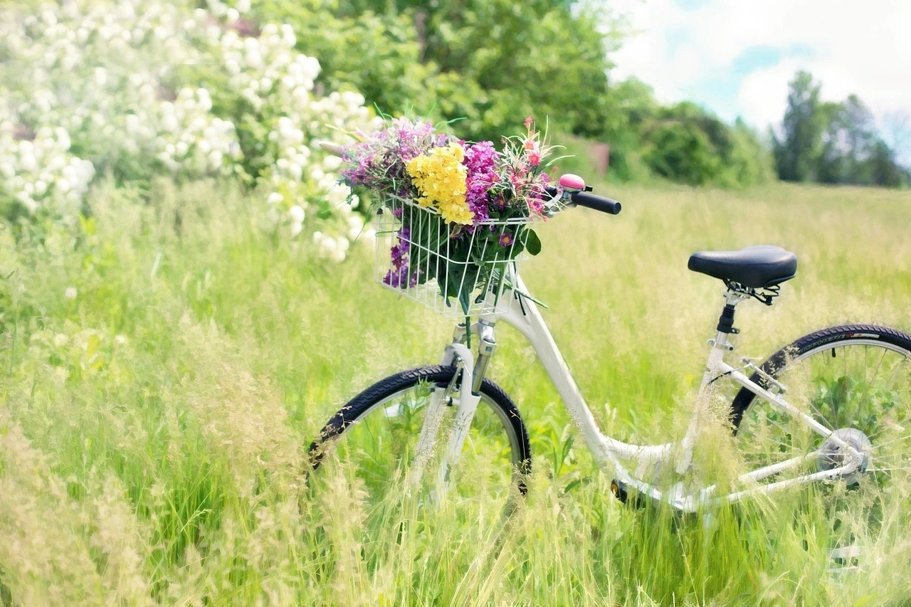 Balade décalée à vélo