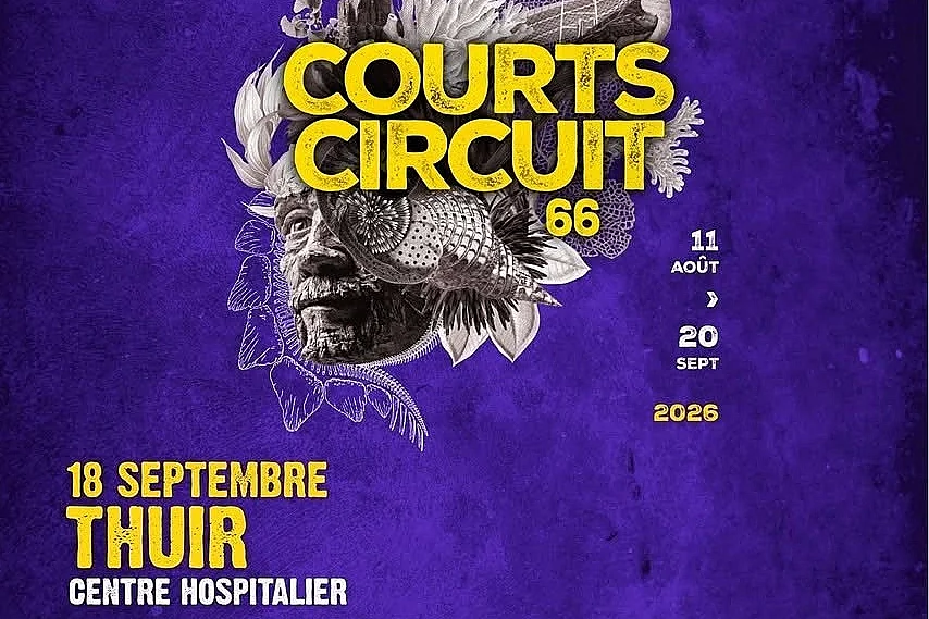 FESTIVAL COURTS CIRCUIT 66