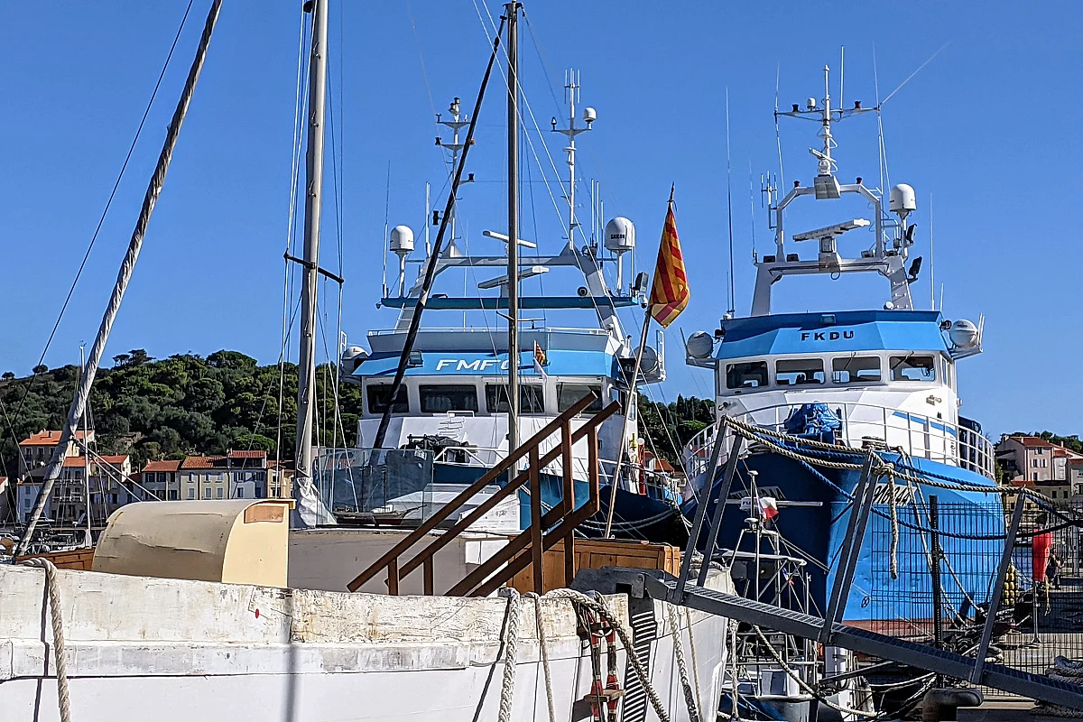 VISITE GUIDEE "PORT-VENDRES AU FIL DE L'EAU"