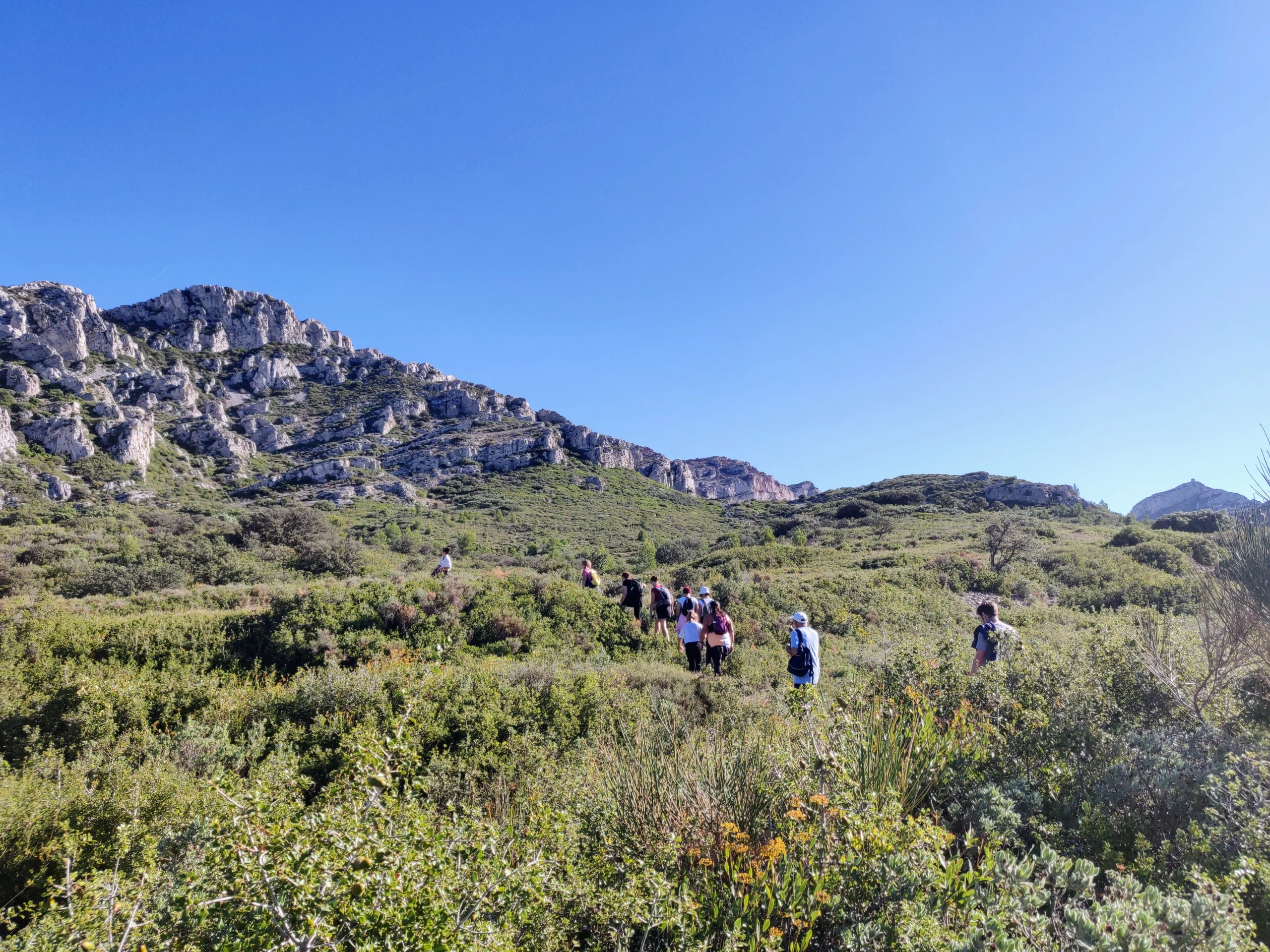 Sortie nature : Paysage des Alpilles, qui es-tu ?