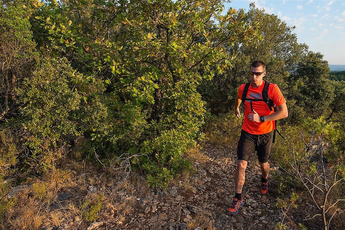 Festa Trail