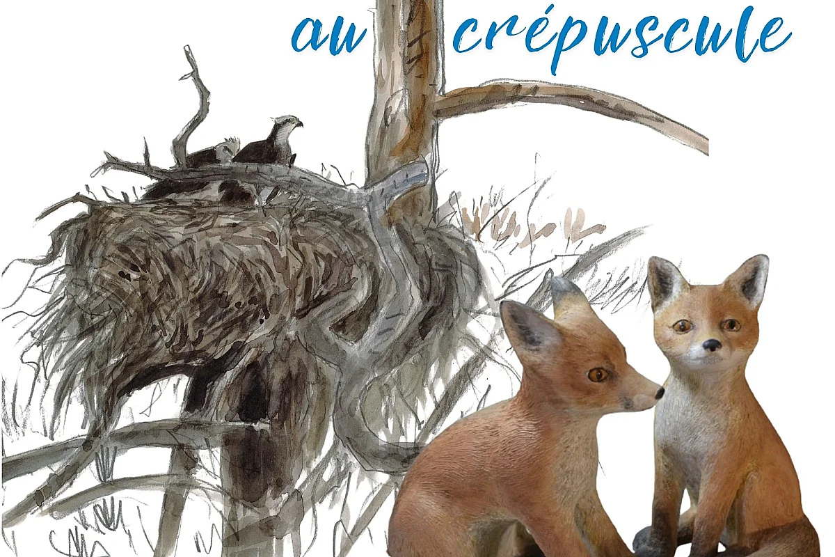 Exposition : De l'aube au crépuscule