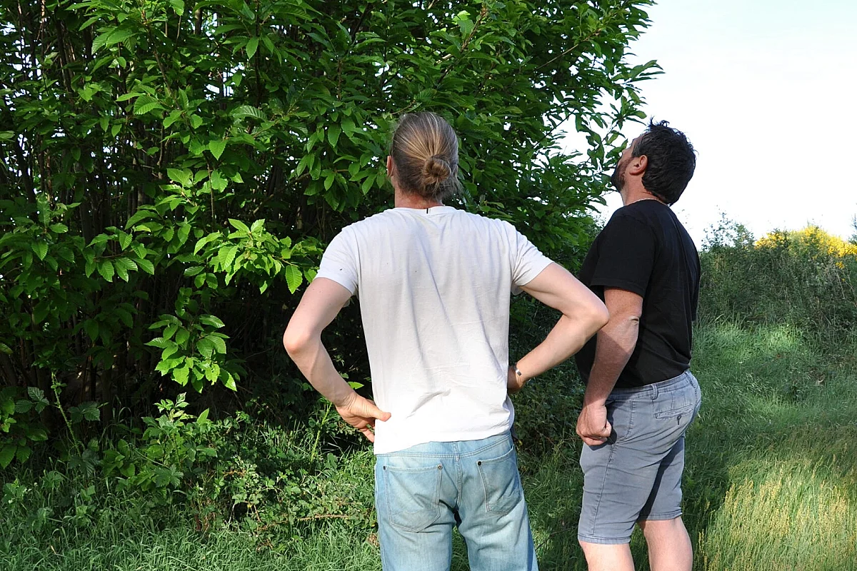 Visites et ateliers au coeur de la forêt comestible Arboraison