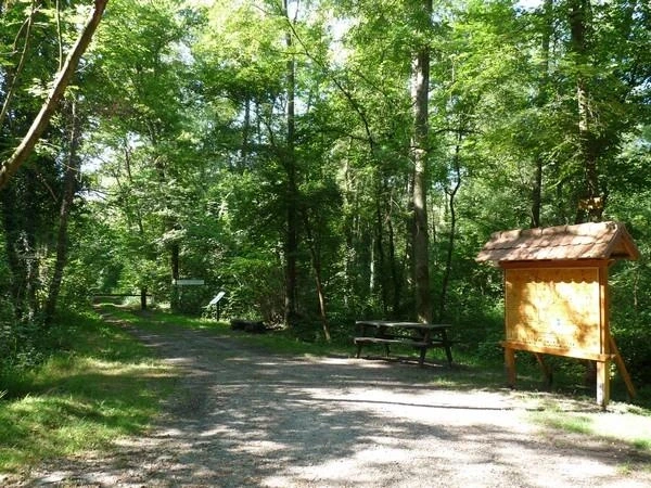 Visite commentée du sentier botanique