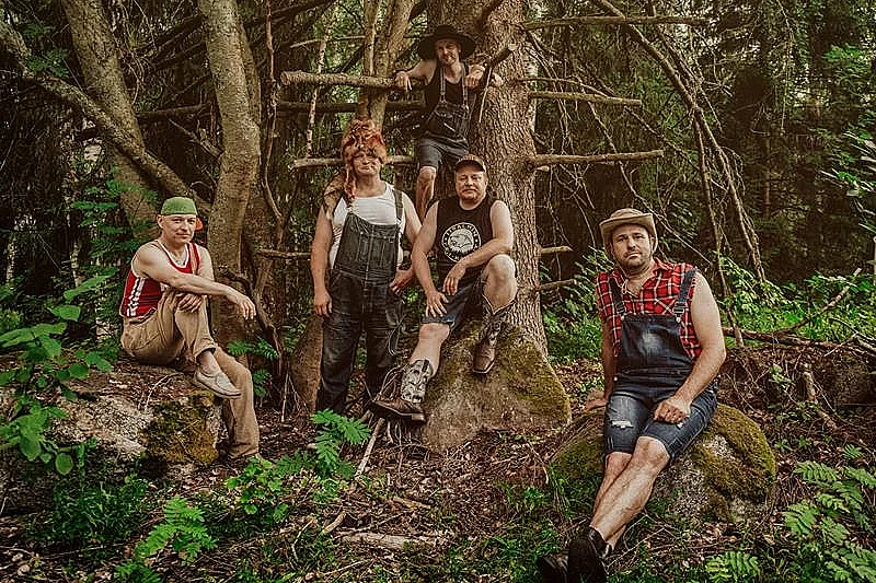 Steve'n'Seagulls