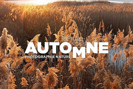 Rendez-vous Automne  - Photographie Nature
