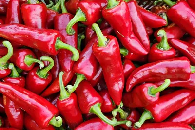 L’Atelier Découverte de la Ferme Kultur Piment