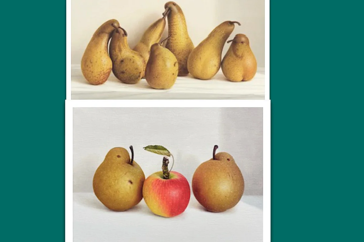 Vernissage et exposition "Reza Sarrafi"