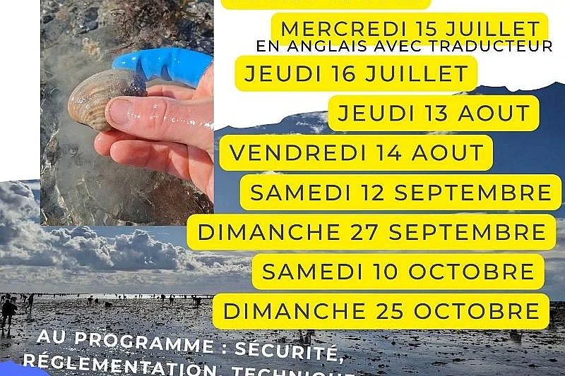 Initiation pêche à pied