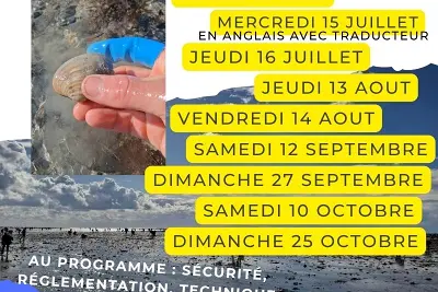 Initiation pêche à pied