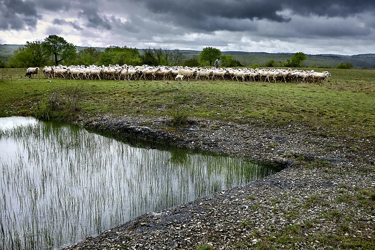 Exposition ParcourS -  Visite-atelier en famille : paysages à composer
