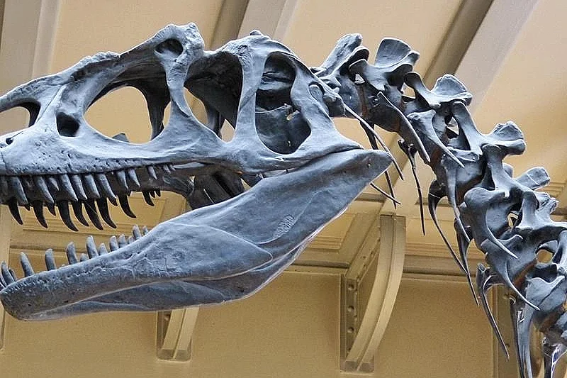 Exposition de dinosaures