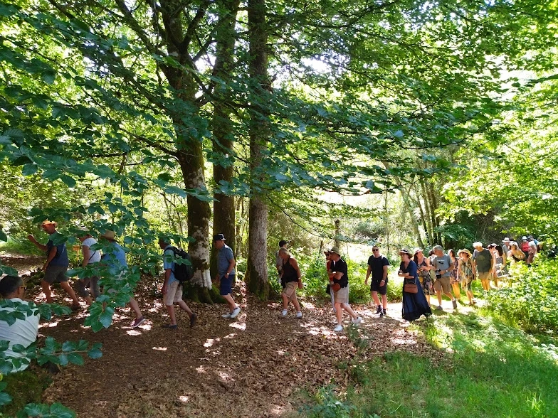 Sortie mycologique