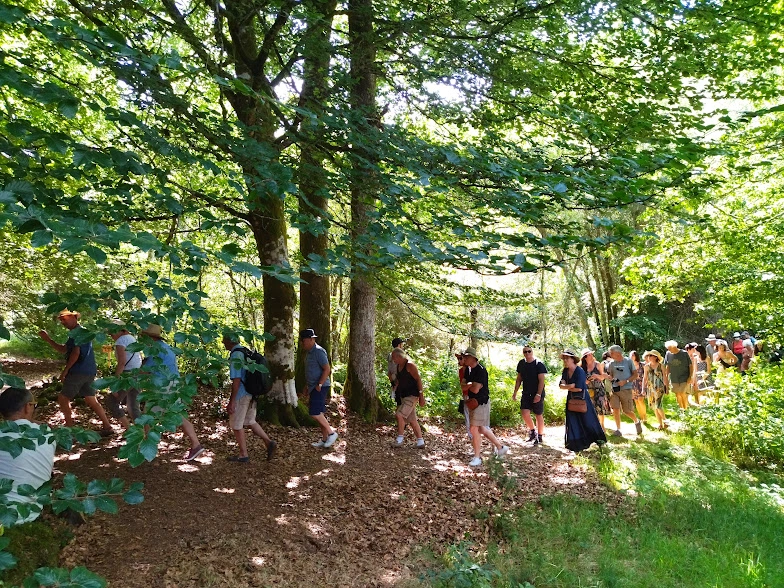 Sortie mycologique