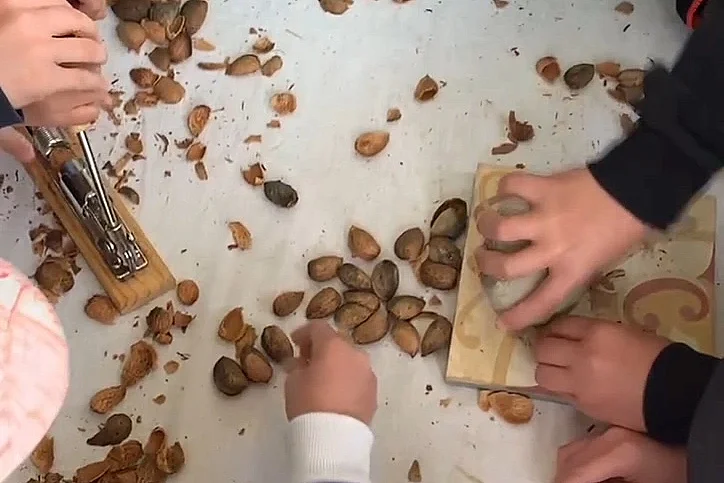 Visite gourmande : Les amandes des Alpilles