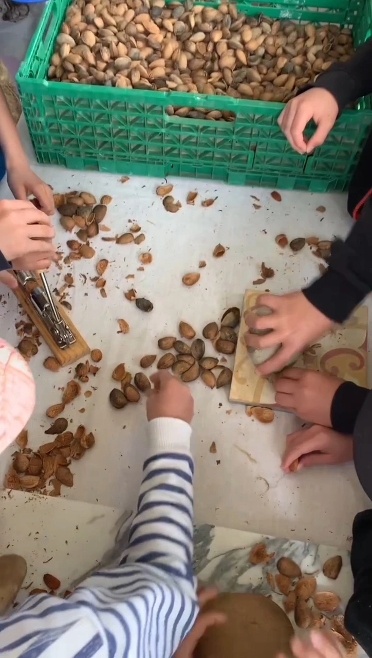 Visite gourmande : Les amandes des Alpilles