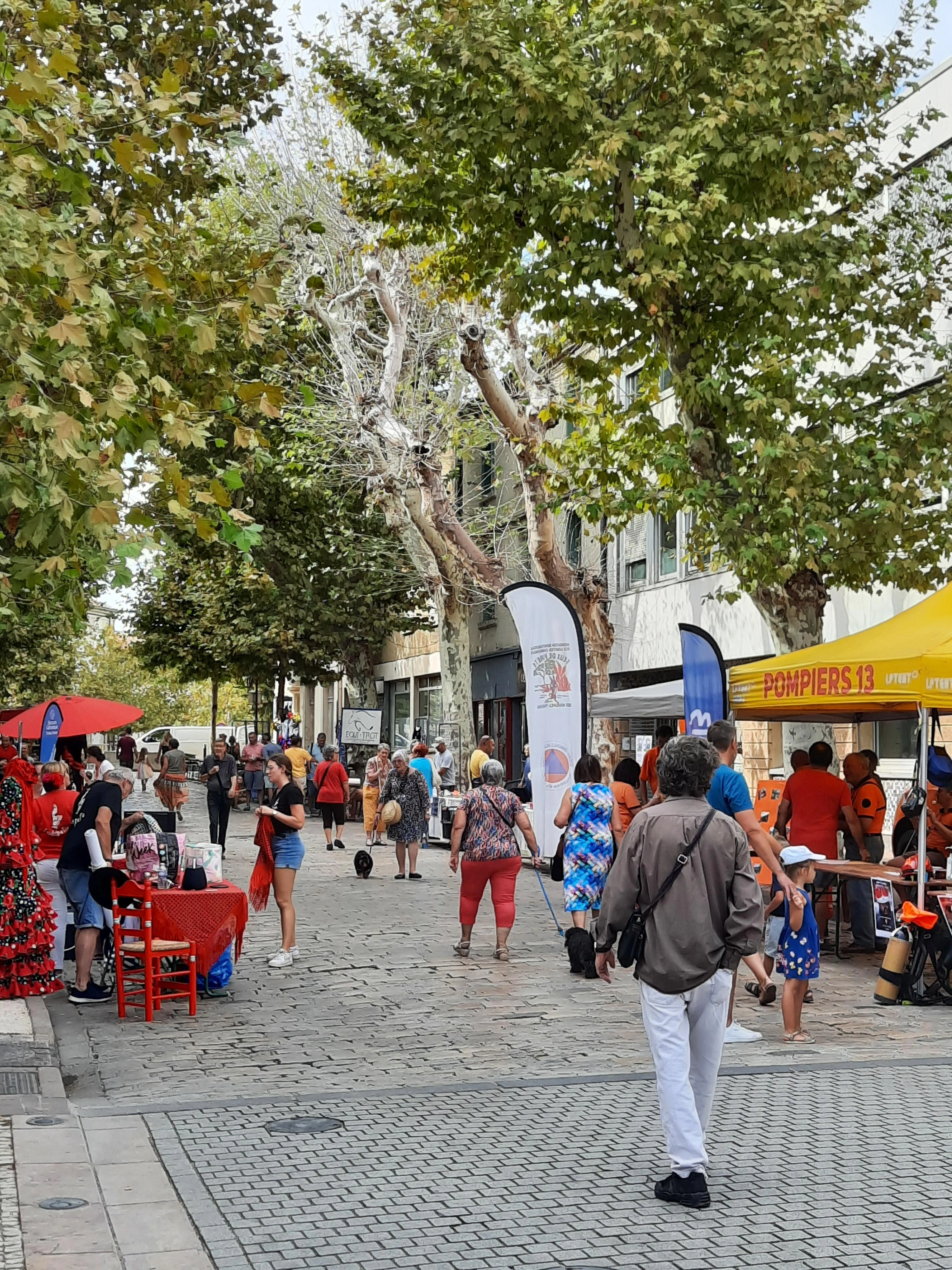 Forum des associations