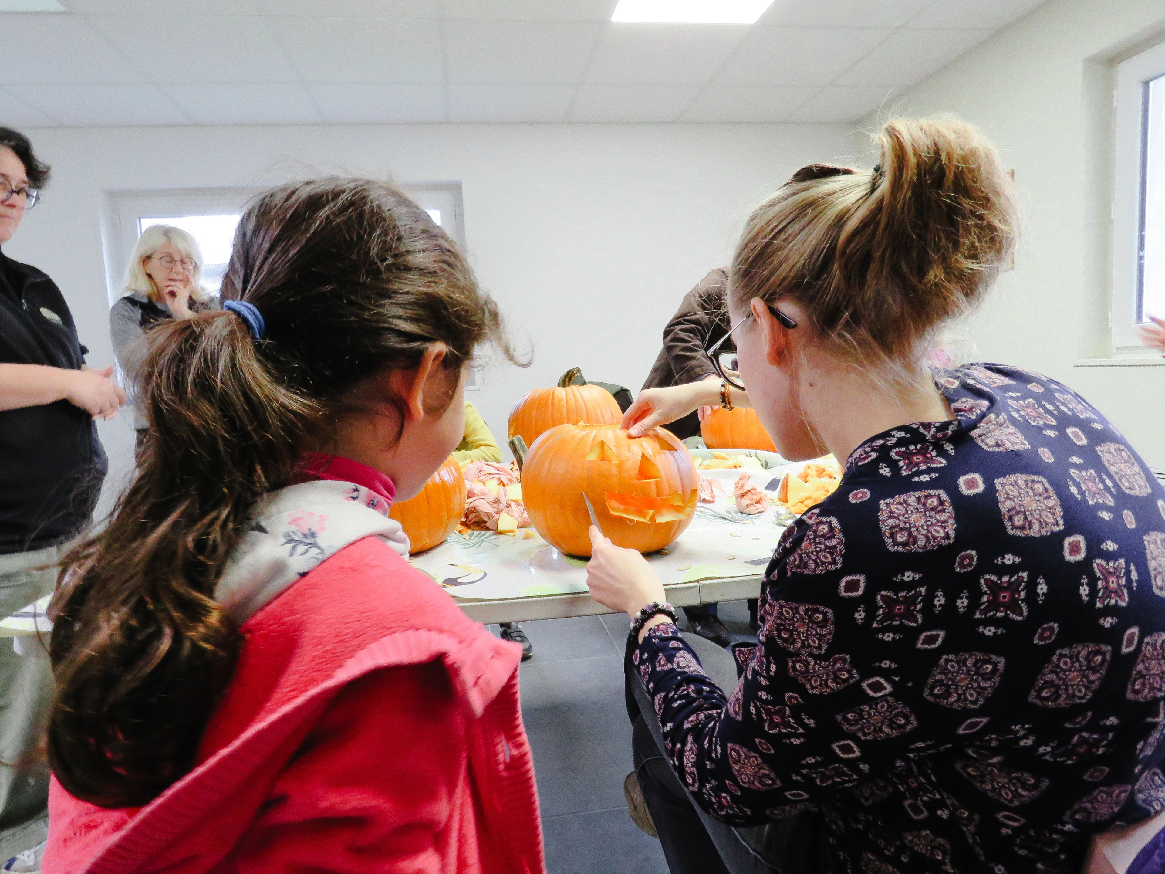 Les Ateliers enfants : Creuse ta citrouille en collaboration avec l'EARL de la Nouère