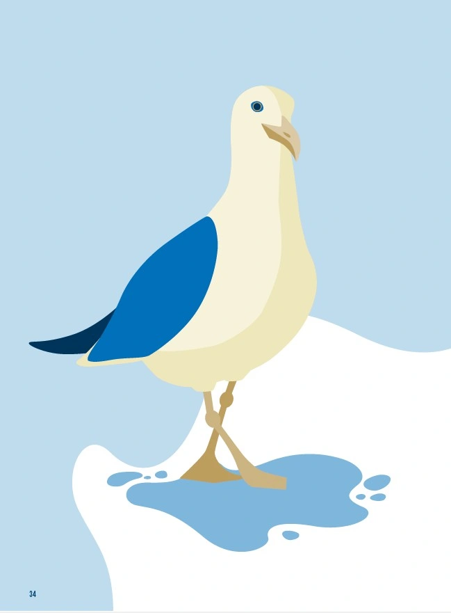 Jouer La Mouette
