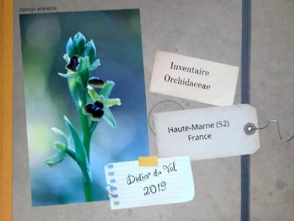 Journées Européennes du Patrimoine : Conférence "Les orchidées sauvages de Huate-Marne par Dider du Val"