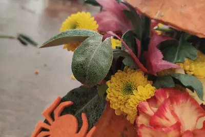 CRÉATION FLORALE SUR LE THÈME DE L'AUTOMNE.