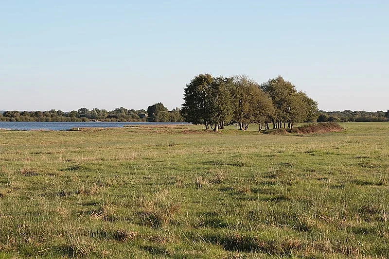 Histoire des paysages et des étangs de la Brenne