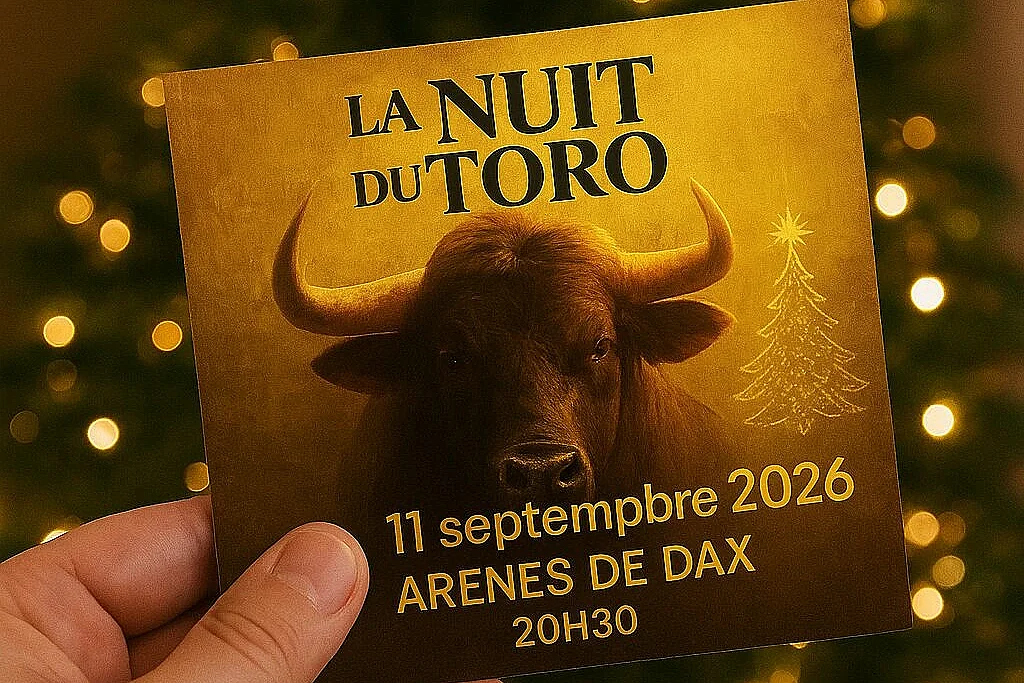Spectacle La nuit du toro