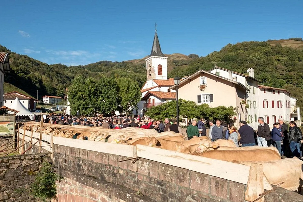 Portes ouvertes de la Vallée des Aldudes