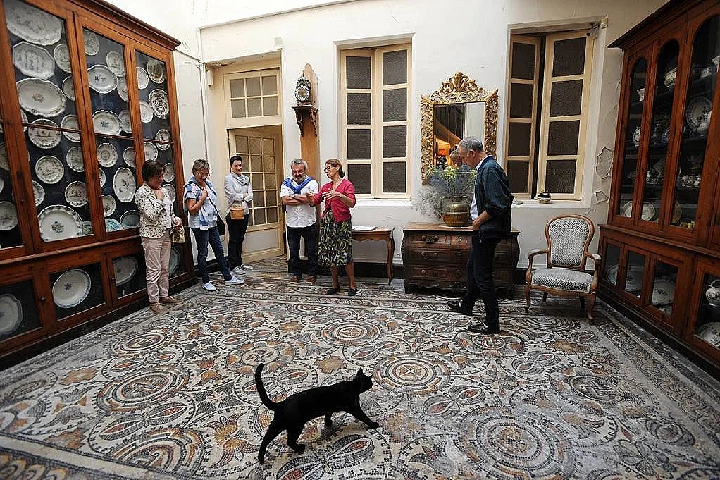 Visite "Sentex et Musée"