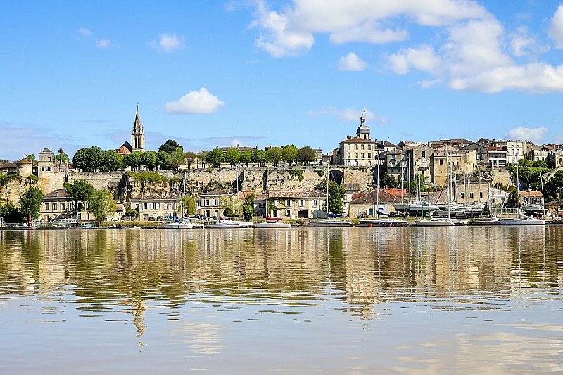 Visite guidée de Bourg & dégustation de la Figue de Bourg