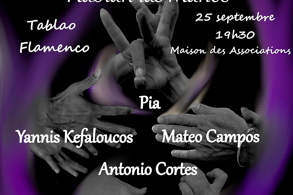 Tablao Flamenco "Cuando faltan las palabras, hablan las manos"