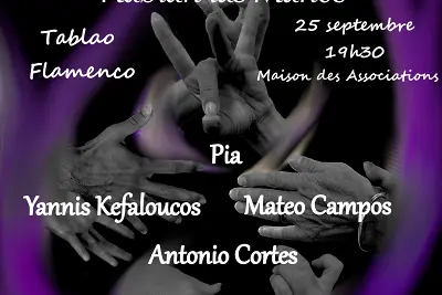 Tablao Flamenco "Cuando faltan las palabras, hablan las manos"