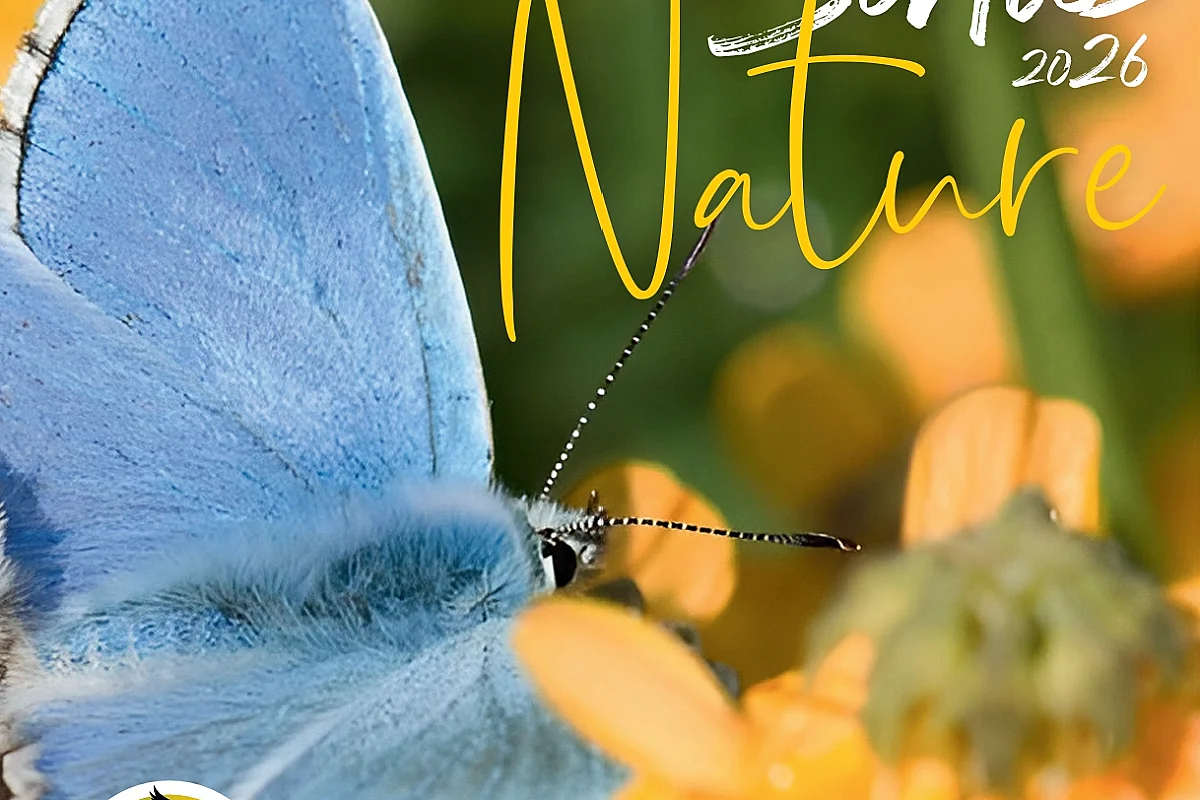 Sortie Nature : J'agis pour la Nature