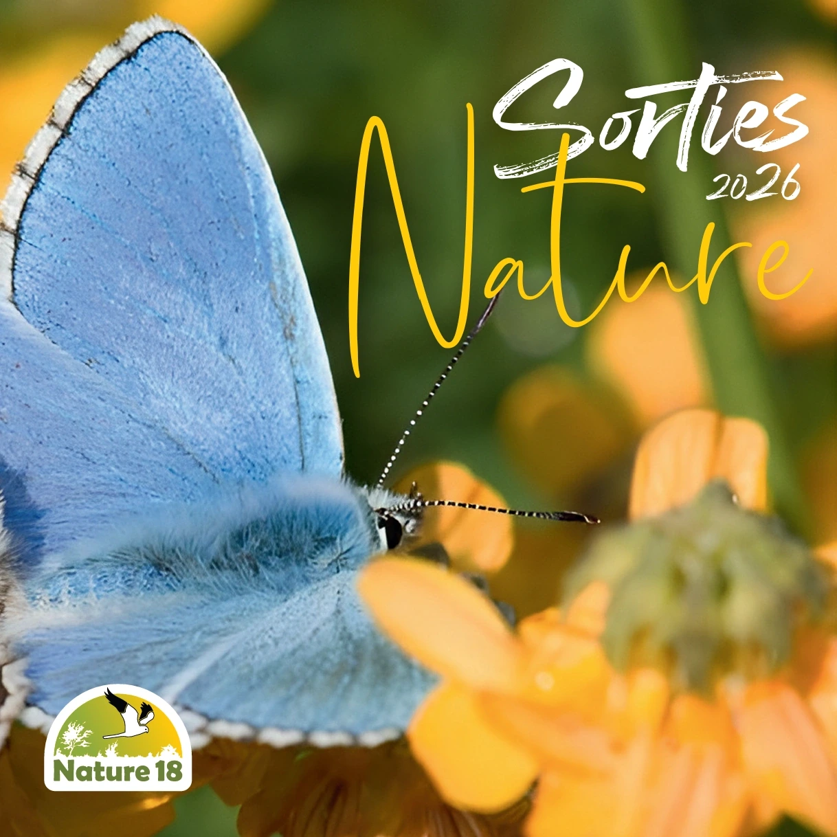 Sortie Nature : J'agis pour la Nature
