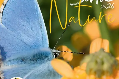 Sortie Nature : J'agis pour la Nature