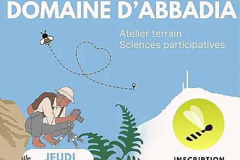 A la découverte des pollinisateurs du domaine d'Abbadia